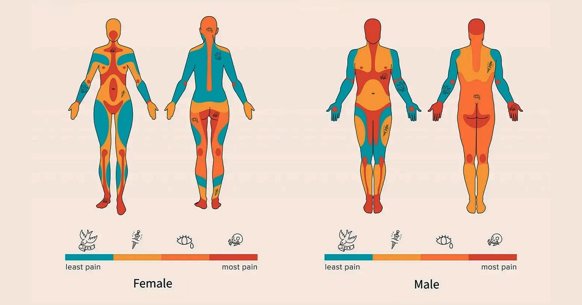 Tattoo pain chart